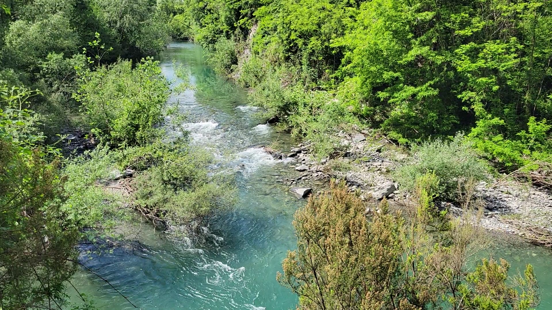 Habitat e biodiversità