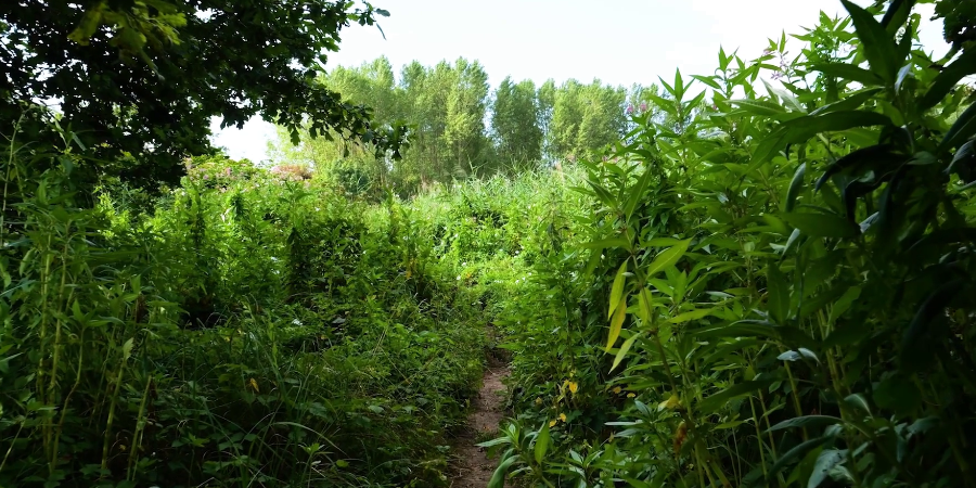 Habitat terrazzato